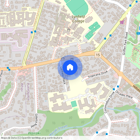 172B White Swan Road, Mount Roskill, Auckland