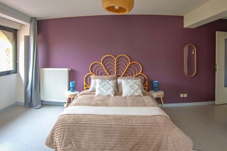 Strasbourg - Le Vauban - Chambre 1 - Photo 4