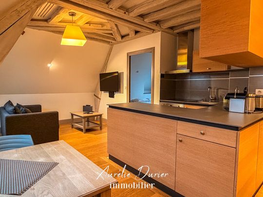Location Appartement 2 pièces 35m² TOURS 37000 - Photo 1