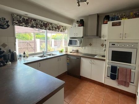 All The Bells & Whistles - Photo 5