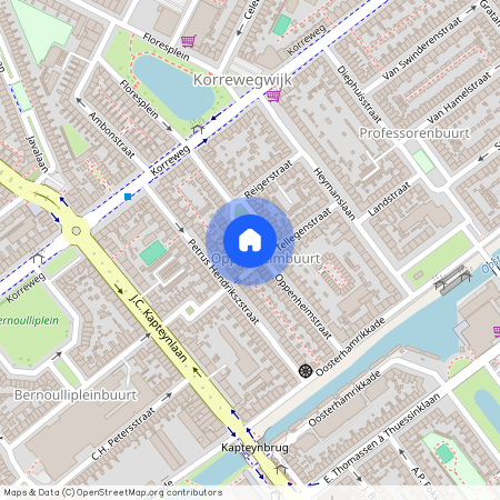 Professorenbuurt, 9714 ES, Oppenheimstraat, Groningen