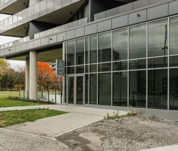 100 Rue Murray, #808 - Photo 5