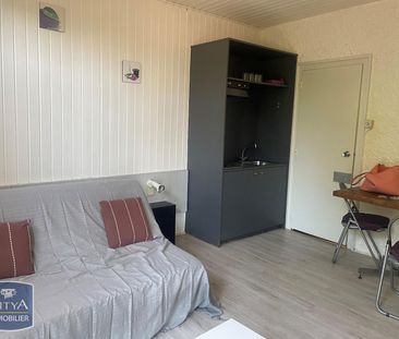 Location Appartement 1 pièce 21m² CHASSENEUIL DU POITOU 86360 - Photo 1