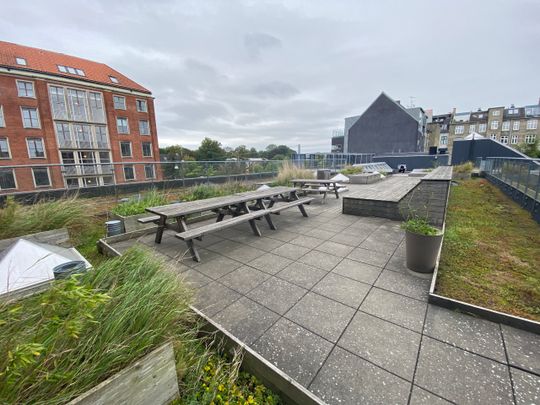 Hyggelig studiebolig beliggende på det eftertragtede Frederiksberg C - Photo 1