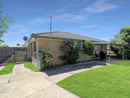 MAGIC ON MORONEY - Photo 3