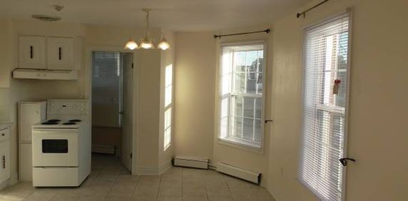 One Bedroom Apartment near Junction and Bloor West Village - Photo 2