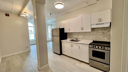 For Lease - 8 Main Street Unit# 202, Brampton, Ontario - Photo 3