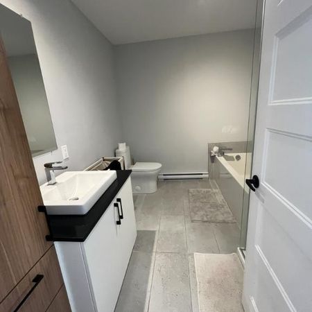 Grand 4½ +bureau, Internet, Domaine sur-le-Vert, St-Hyacinthe, 1 février 2026 - Photo 4