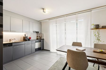 2-ROOM APARTMENT IN LUCERNE, FURNISHED, TEMPORARY - Foto 5