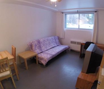 3 1/2 - Montréal (Côte-des-Neiges) - 1 200 $/mois - Photo 3
