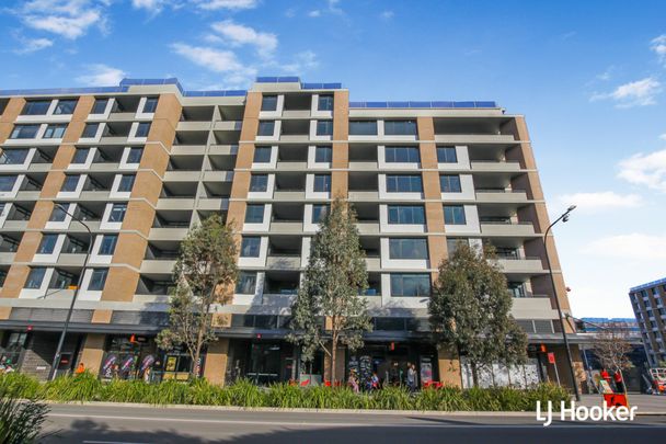 Top Floor Apartment - Great Location! - Photo 1