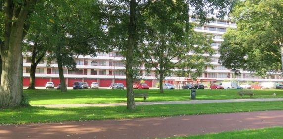 Korfoedreef, 3562 Utrecht, Nederland - Foto 2