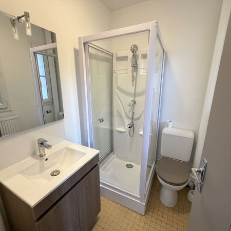 Location Appartement 1 pièce 17m² CHALON SUR SAONE 71100 - Photo 4