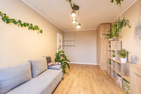 Do wynajęcia 3 pokoje w centrum Zielonej Góry! 48 m² - Фото 5