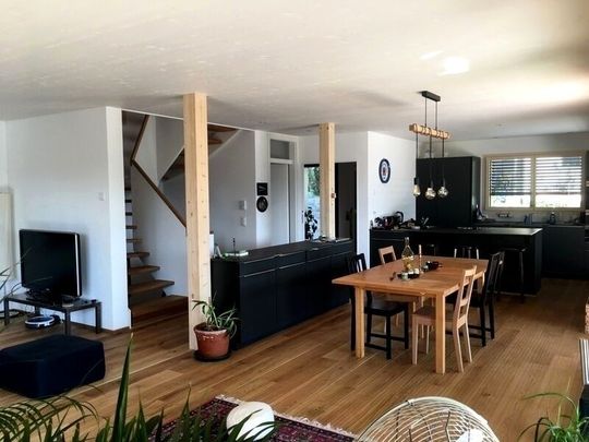5-ROOM HOUSE IN OBERWIL (BL), FURNISHED - Photo 1
