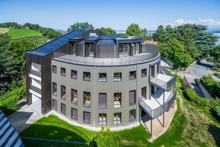 Very nice 2.5 room apartment completely renovated with balcony and view - Photo 5