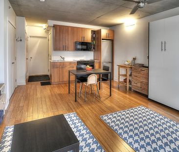 Condo for rent, Montréal (Le Sud-Ouest) - Photo 6