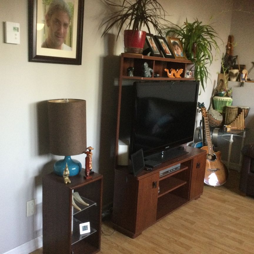 SOUS LOCATION / SUB LET - Photo 1