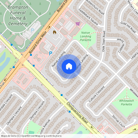 33 Native Landing Unit# BSMT, Brampton