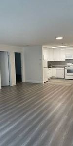 Large Renovated 2 Bedroom in Great location - Photo 3