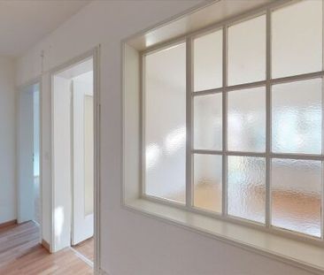 Living in the Ostring - Photo 6