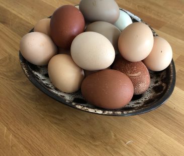 BÖRJE-GRÄNBY, Uppsala - Foto 1