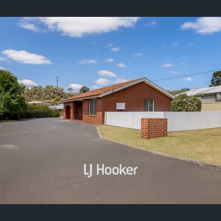 Newly Renovated! Front, Spacious Yard with Side Access! - Photo 3