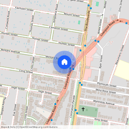 6 Mintaro Avenue, NSW 2135, Strathfield