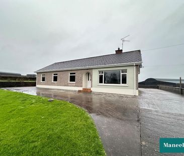 98 Ballygittle Road - Photo 2