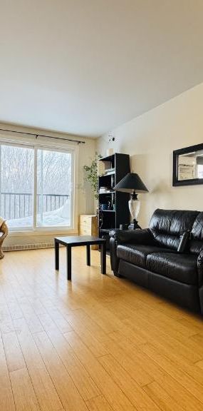 Appartement 4 ½ à louer Lévis juillet 2026 - Photo 1