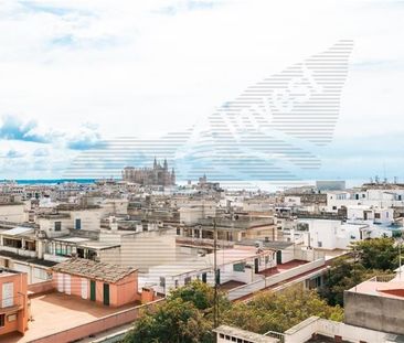 Palma de Mallorca, Balearic Islands 07003 - Photo 6