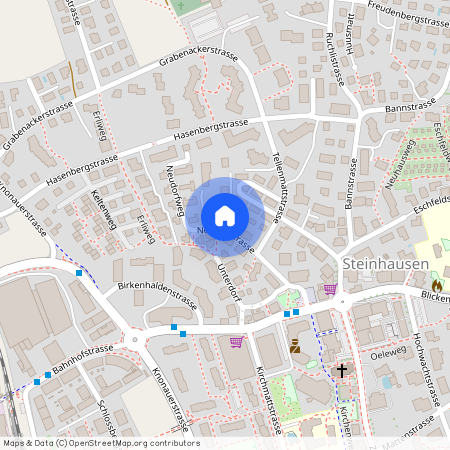 6312, Steinhausen, Neudorfstrasse