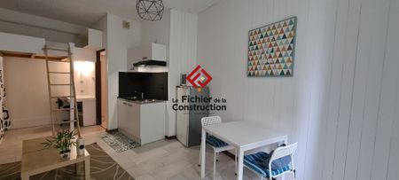 Location Appartement 1 pièce 24m² GRENOBLE 38000 - Photo 4