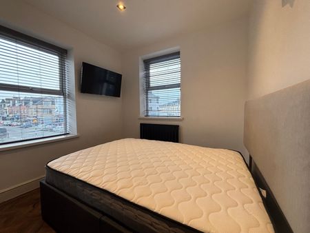 alisbury Road, Cathays - Photo 4