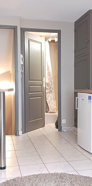 Location Appartement 1 pièce 18m² BLOIS 41000 - Photo 1