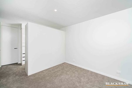 Immaculate Two Bedroom Apartment in the Governor Place Building - Photo 5