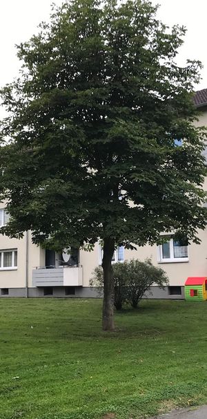 Hier findet Ihre Familie ein Zuhause - Photo 1