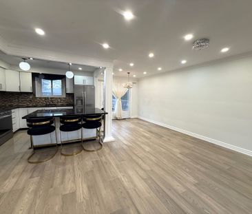 For Lease - 255 Sussex Avenue, Richmond Hill, Ontario - Photo 6