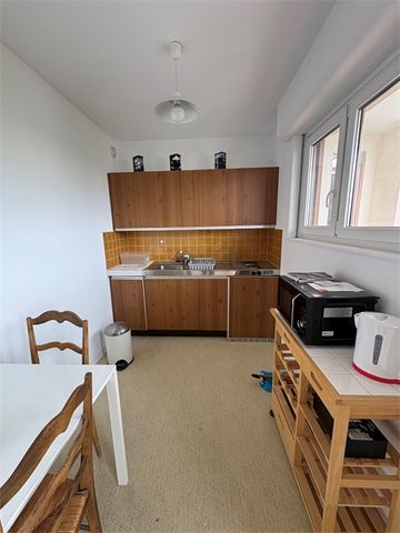 Location Appartement 1 pièce 31m² - Photo 3