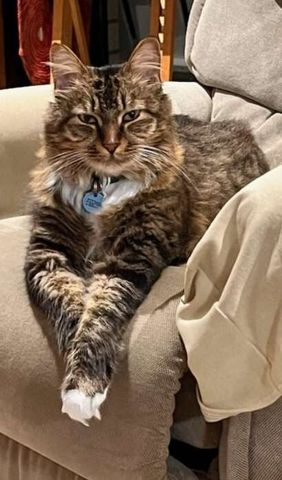 Maroochydore - Photo 3