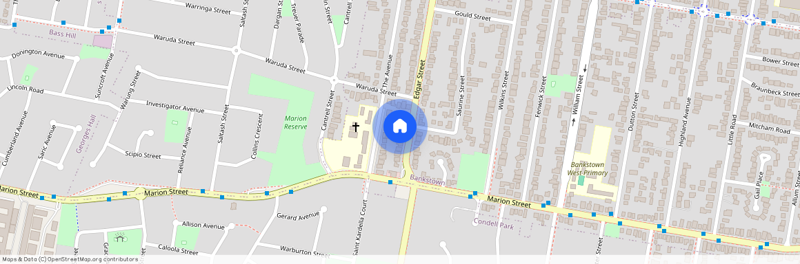 112 Edgar Street, NSW 2200, Bankstown