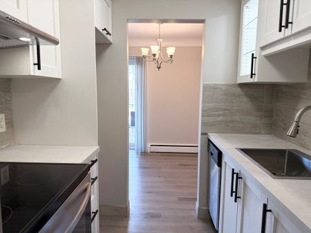 For Lease - 286 VINE Street Unit# 8, St. Catharines, Ontario - Photo 4