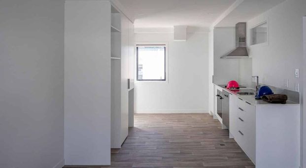 Warm modern apartment in the heart of Newtown - Photo 1