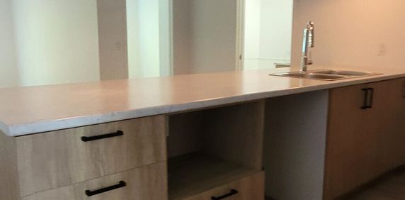 303-1162 Rue Papineau - Photo 2