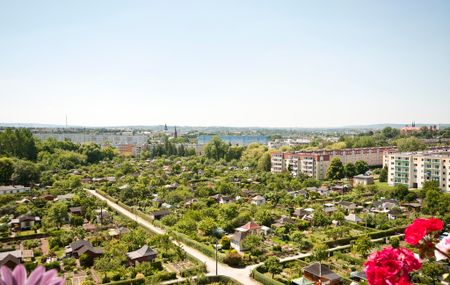 2-Raum-Wohnung mit Blick ins Grüne - Foto 2