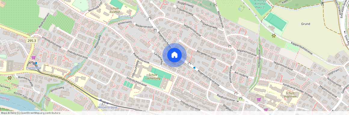 Regensdorferstr, 67, 8049 Zürich