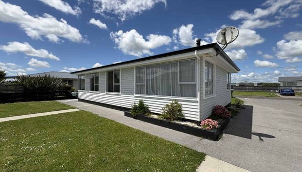 Newly Renovated Sunny & Spacious 3 bedroom Home - Photo 1