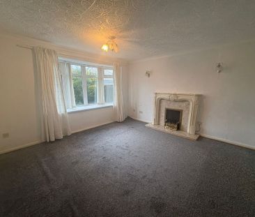 Auckland Drive - Photo 2