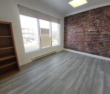 10580 Boulevard Saint-Laurent, #205 - Photo 5