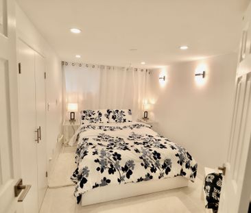 For Lease - 180 Madison Avenue Unit# Lower, Toronto, Ontario - Photo 4